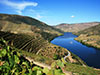 Douro Full Day Tour - Private
