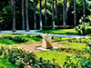 The Most Beautiful Garden of the Kingdom - Self-guided tour