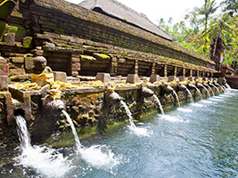 Fascinating Ubud and Tampak Siring - Half-Day Private Tour