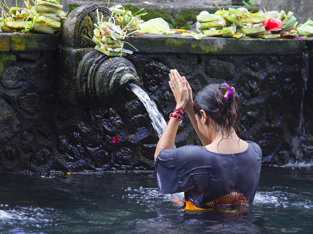 Fascinating Ubud and Tampak Siring - Half-Day Private Tour
