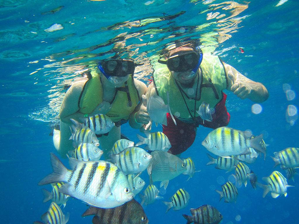 Shore Snorkel