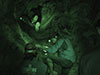 Caving