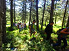 Trekking in the National Park of Mt. Parnitha