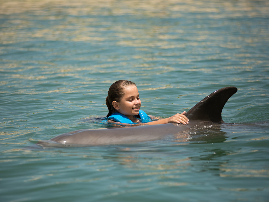 Swim with dolphins in Punta Cancun