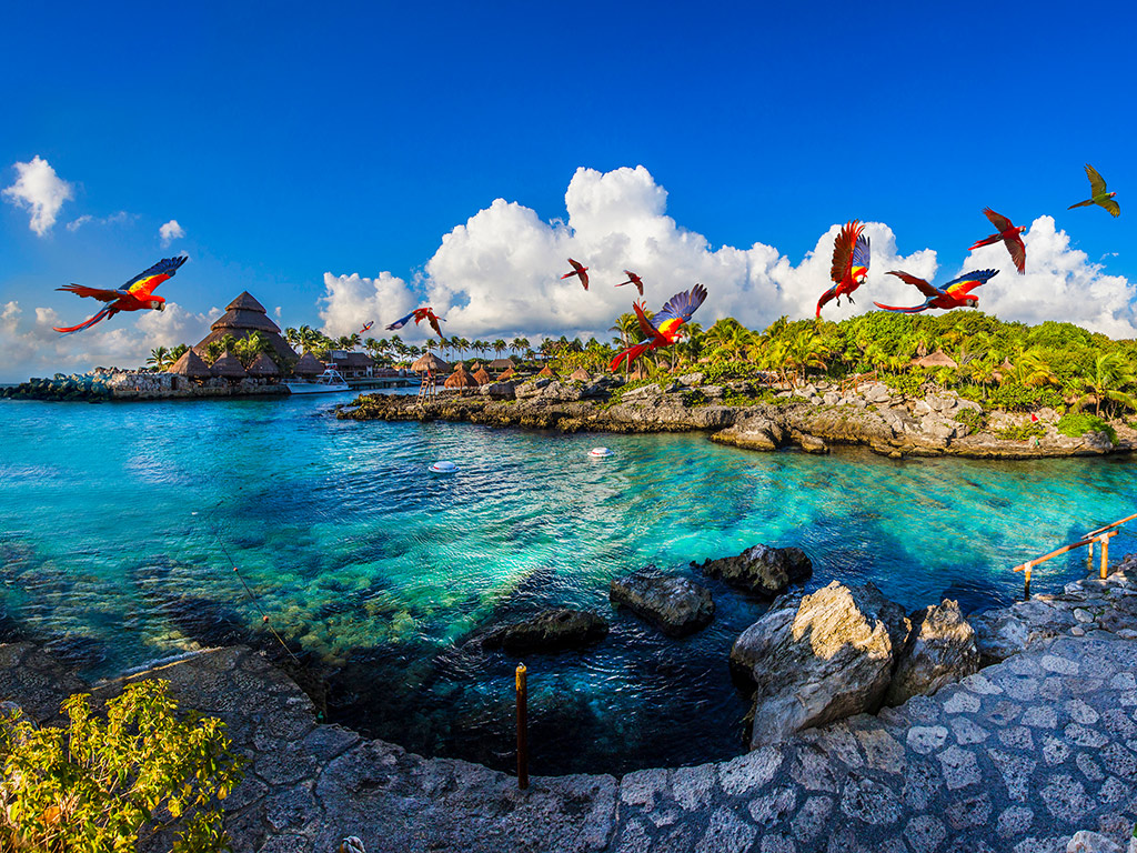 Admission Xcaret Plus