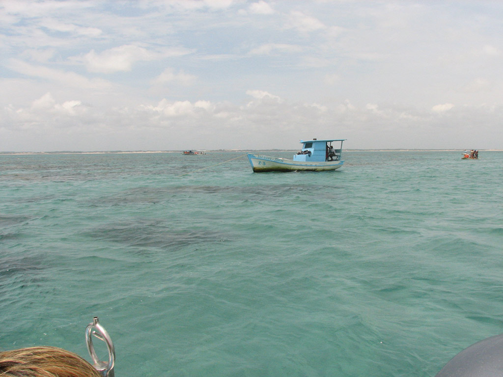 Maracajau Parrachos Reef - Mask and Snorkel Swim - Natal