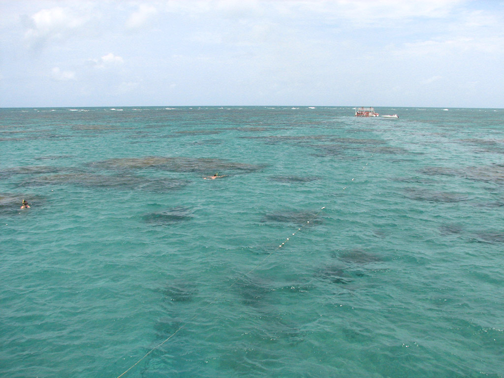 Maracajau Parrachos Reef - Mask and Snorkel Swim - Natal