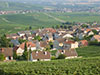 Champagne Discovery Tour with Transfer - Private
