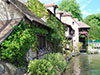 Giverny Tour and Guided Visit of Versailles - with Transfer