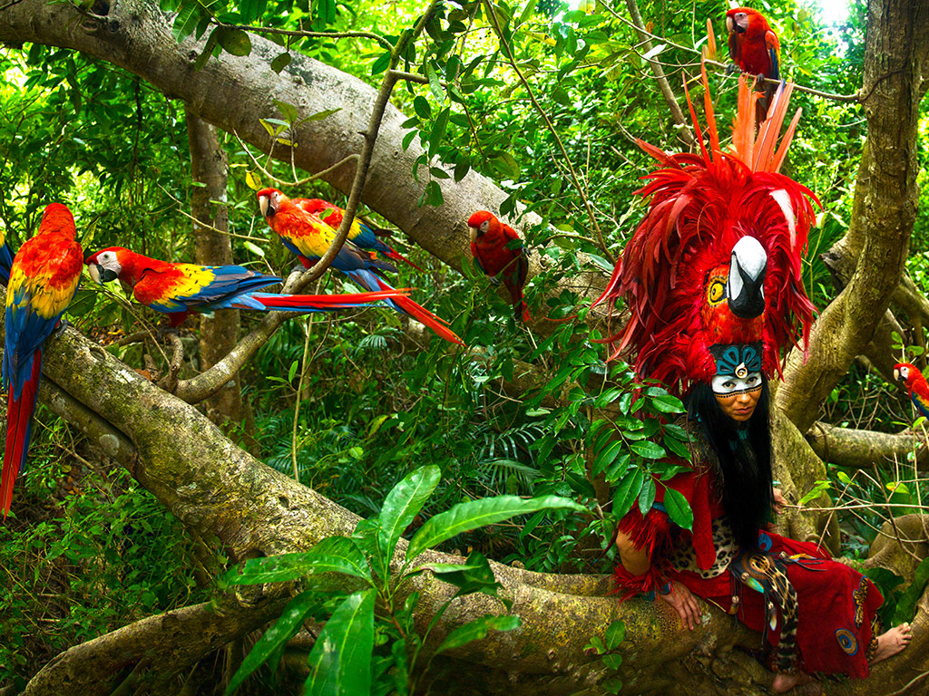 Dolphin Interactive + Xcaret Plus - Cancun (and vicinity)