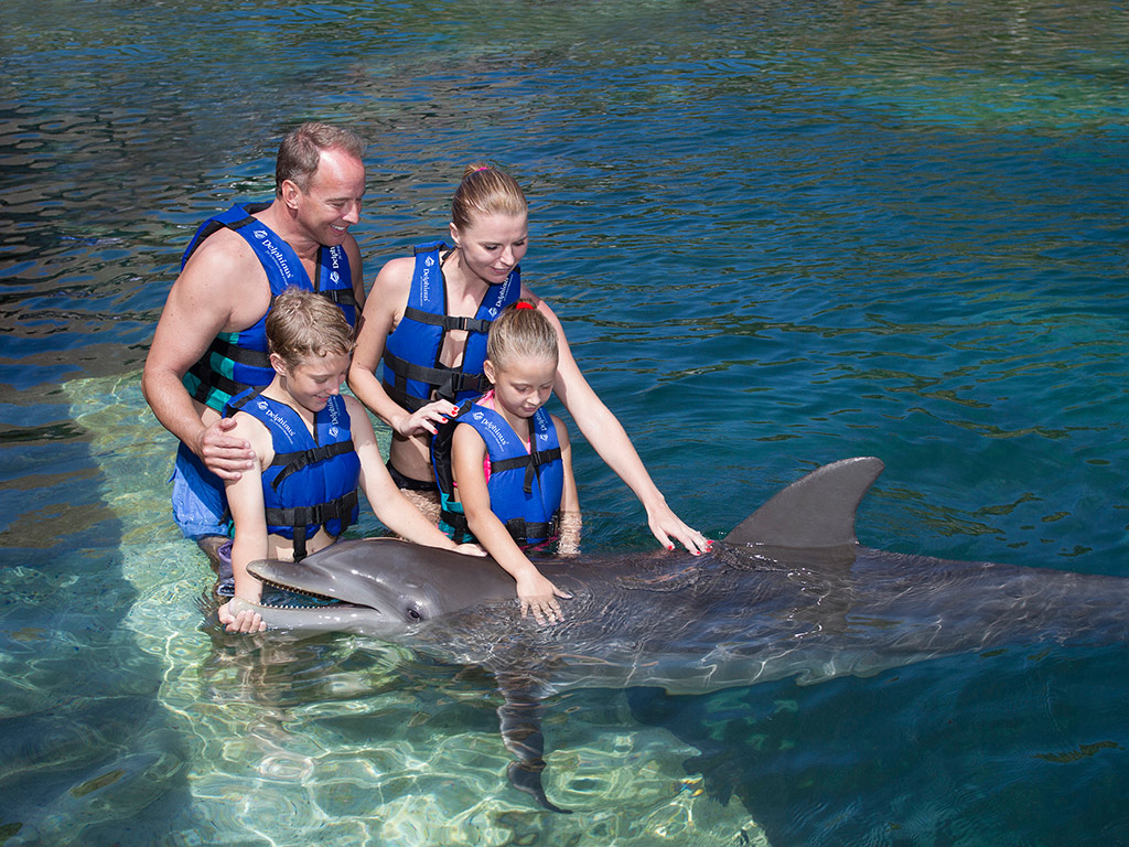 Dolphin Interactive + Xcaret Plus - Cancun (and vicinity)