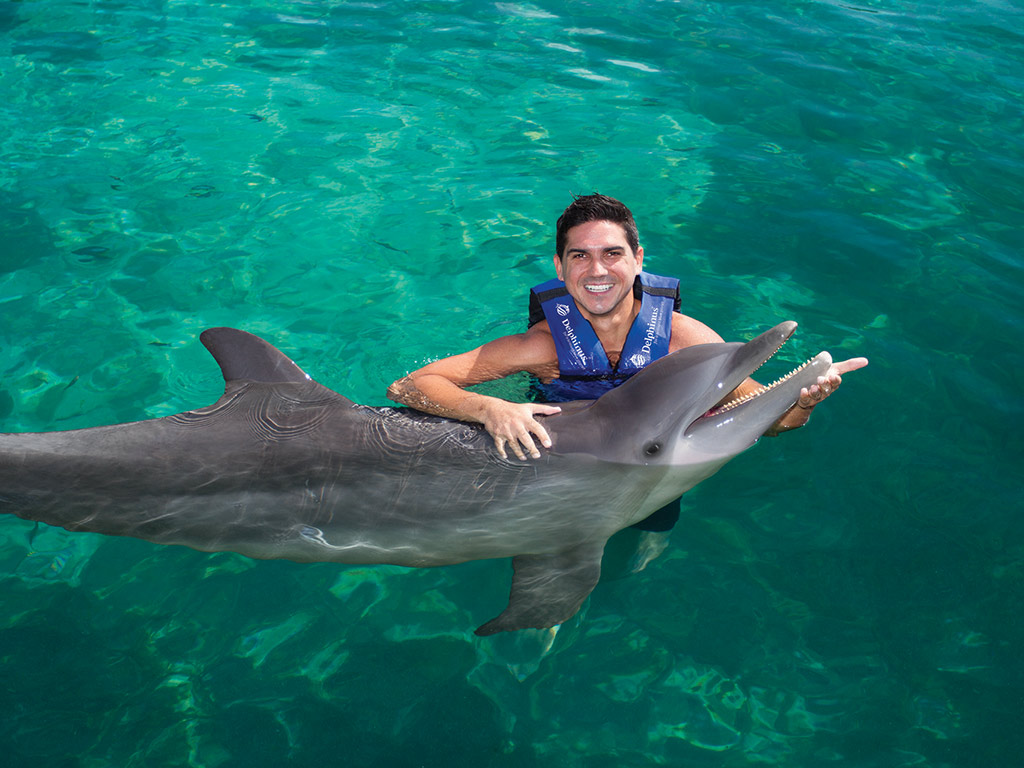 Dophin Interaction with Xcaret Plus Access