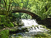 Vrelo Bosne Park Tour - Private