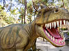 Visit the Dinosaur Theme Park - From Kemer