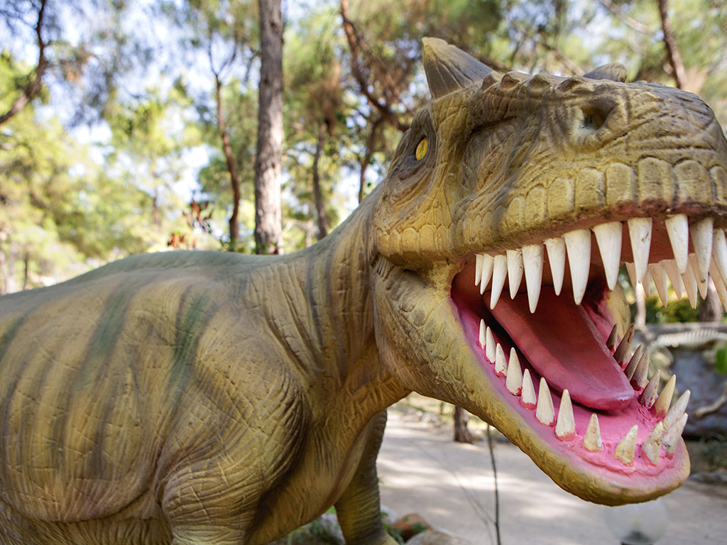 Visit the Dinosaur-Themed Play Park 