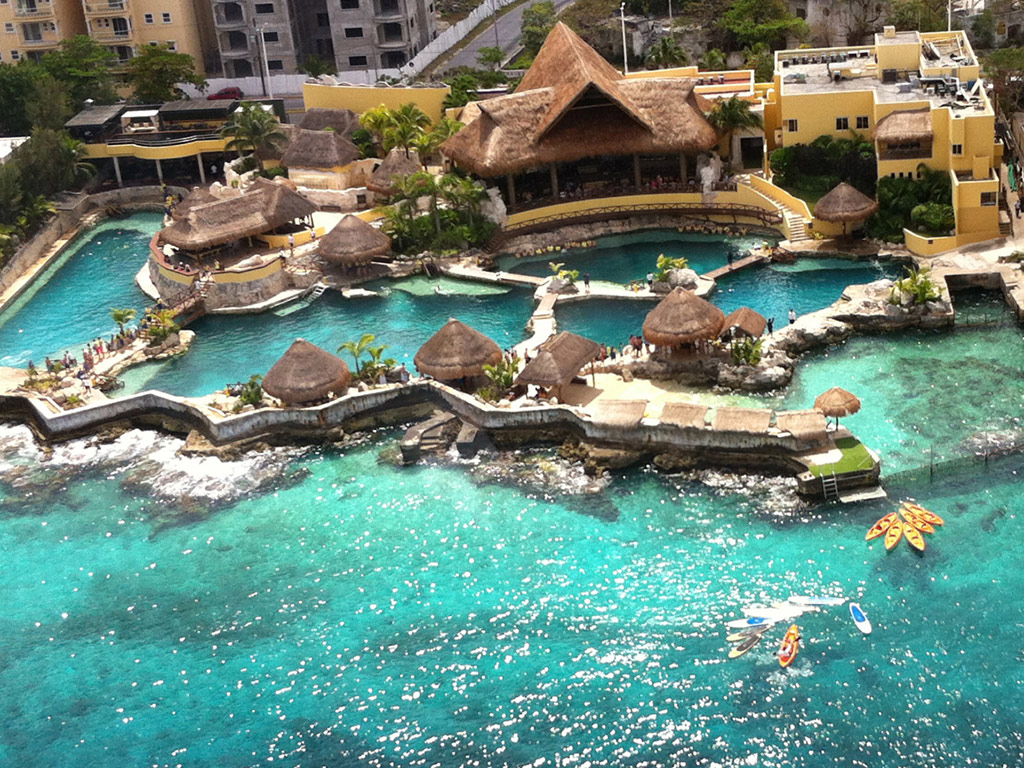All Inclusive Programs with Dolphins