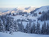 Olympic Mountains Tour - Private