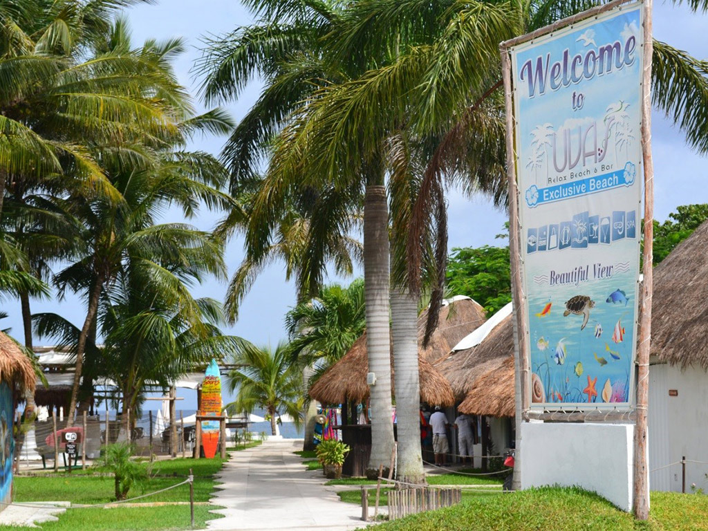Discover Mexico and Snorkel