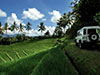 Full Day Land Rover Luxury Adventure