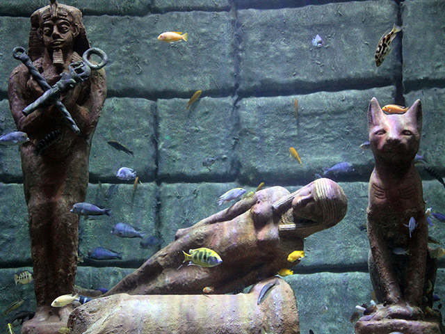 Antalya Aquarium and Face 2 Face Wax Museum - Ticket