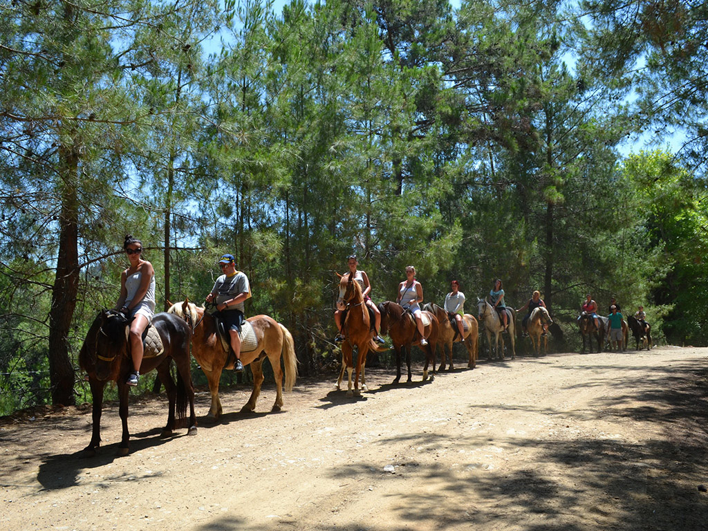 Half Day Horse Trekking Through the Taurus Mountains from Alanya - Antalya