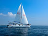 Full Day Aristocat The Luxury Sailing Catamaran
