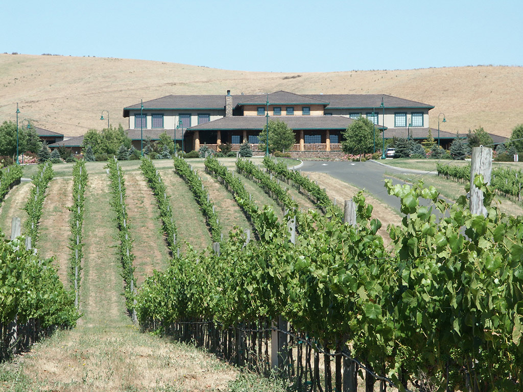Napa and Sonoma Wine Country - San Francisco