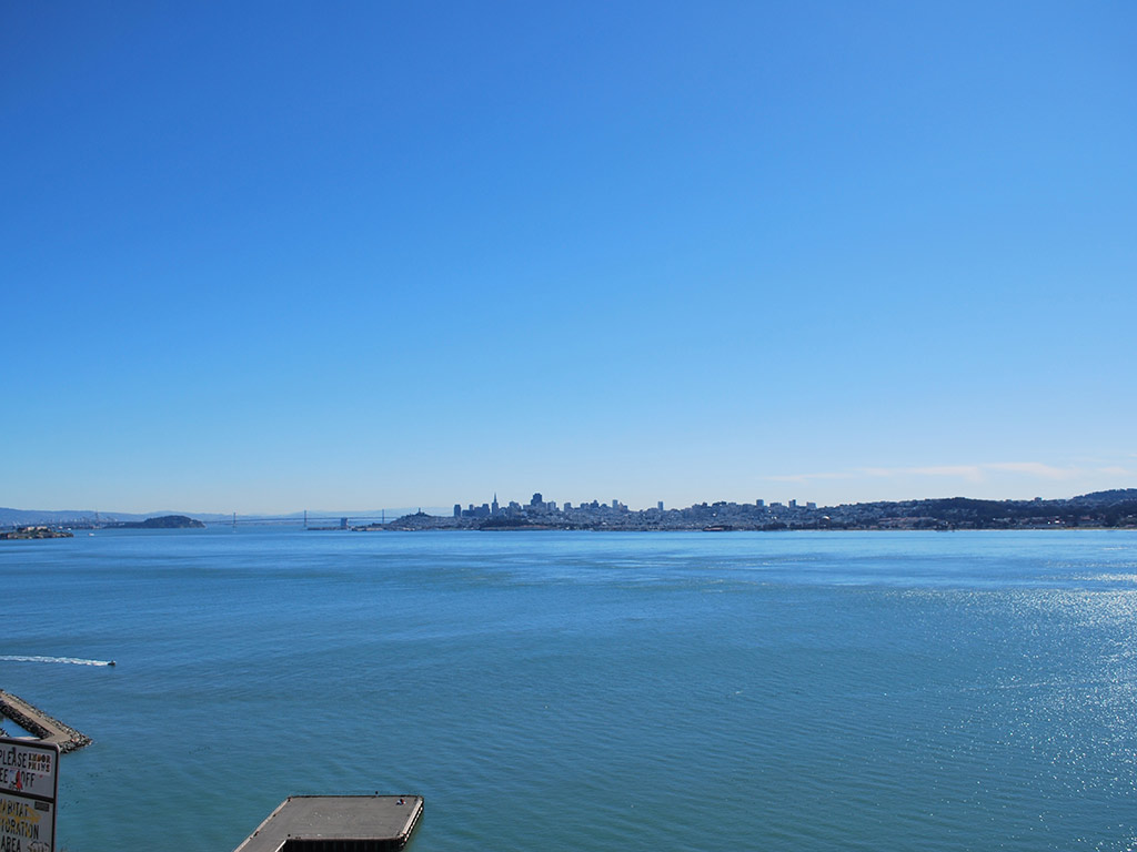 San Francisco City Tour & Bay Cruise