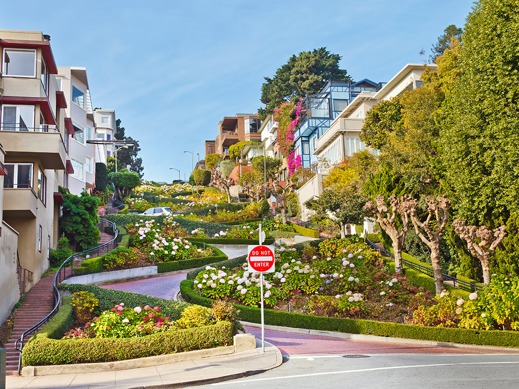 San Francisco City Tour & Bay Cruise