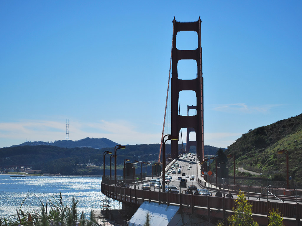 Muir Woods and Sausalito with Bay Cruise - San Francisco