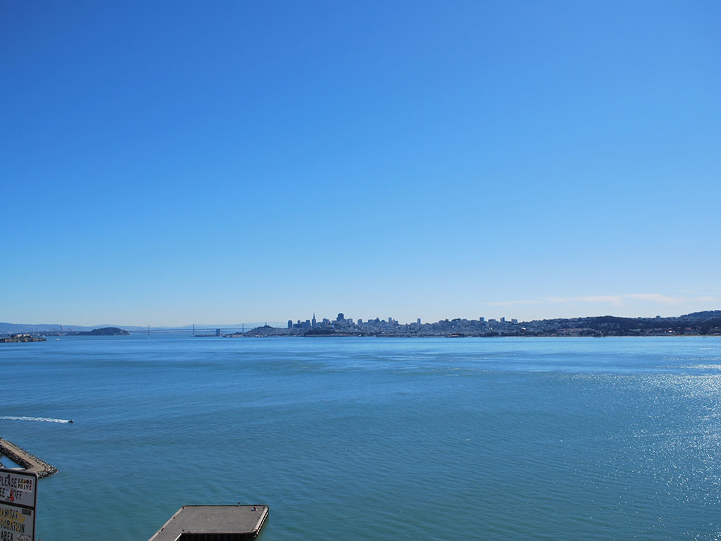 Muir Woods and Sausalito with Bay Cruise - San Francisco