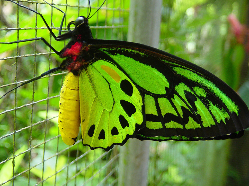 Wonders of Bali - Full-Day Private Tour