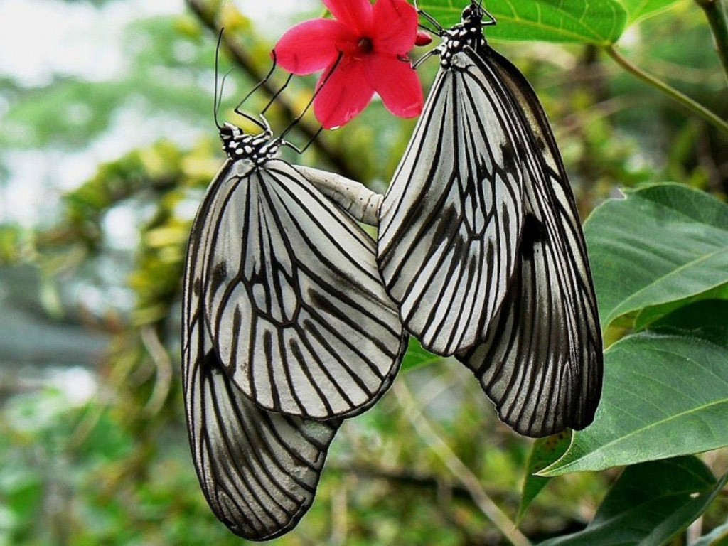 Wonders of Bali - Full-Day Private Tour