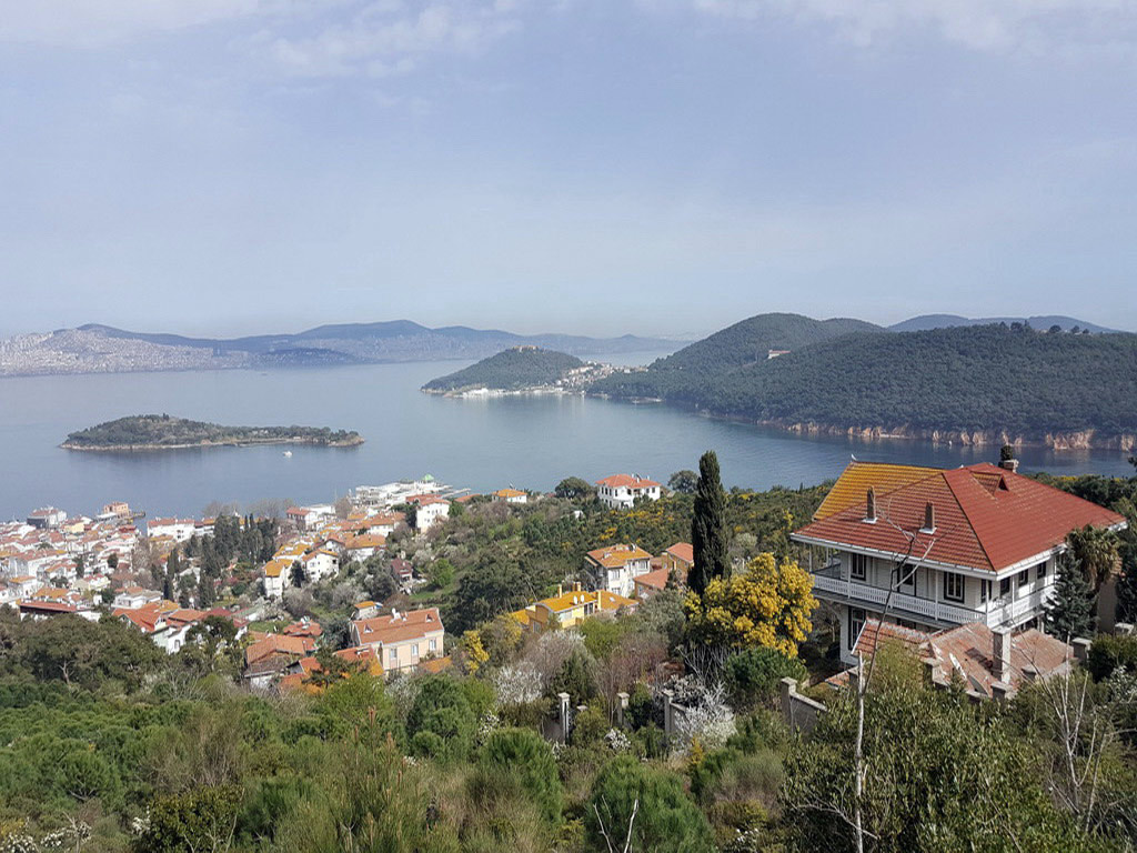 A Day on Prince's Island - Full-Day Tour - Istanbul