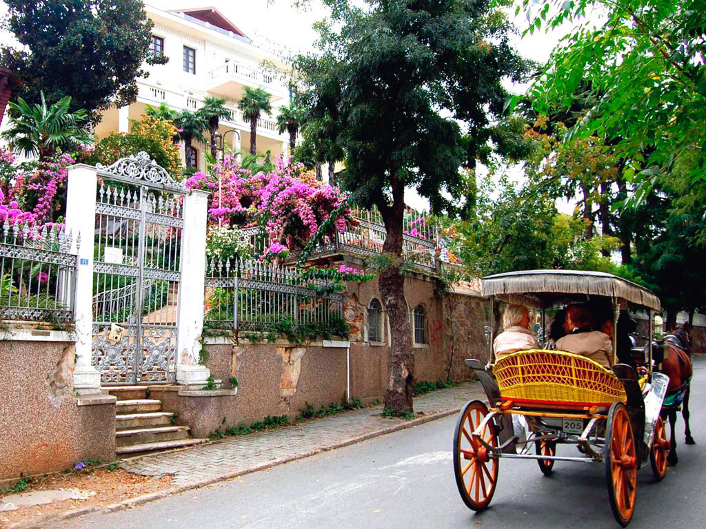 A Day on Prince's Island - Full-Day Tour - Istanbul