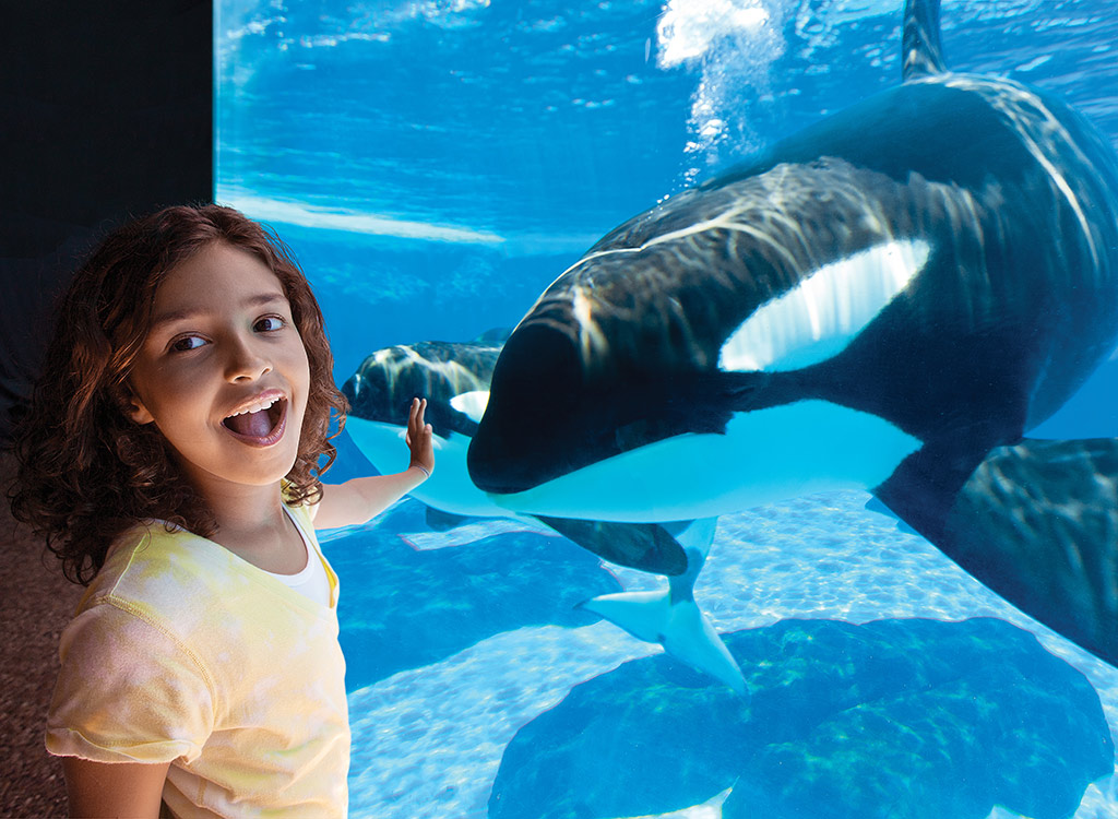 SeaWorld Orlando with All Day Dining