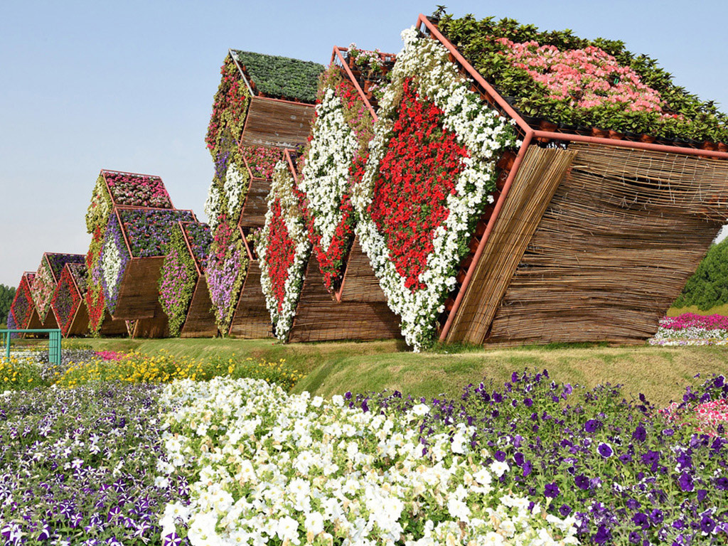 Flora and Fauna of Dubai: Butterfly Garden and Miracle Garden Tour