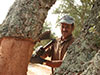Traditional Ribatejo Experience