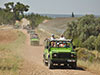 Off Road Safari