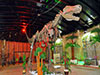Discovery Theme Park Admission from Alanya, Side and Belek