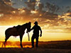 Horseback Riding in Dubai Desert with Transfers