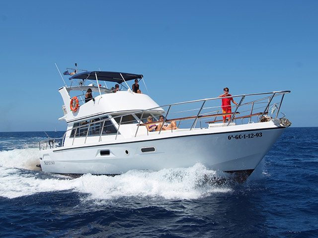 Onboard the Neptuno - Half-Day Tour