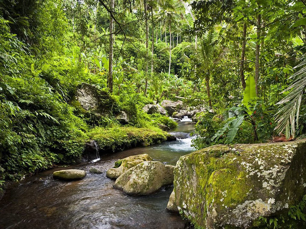 Bayad Eco Treks - Half Day Private Tour