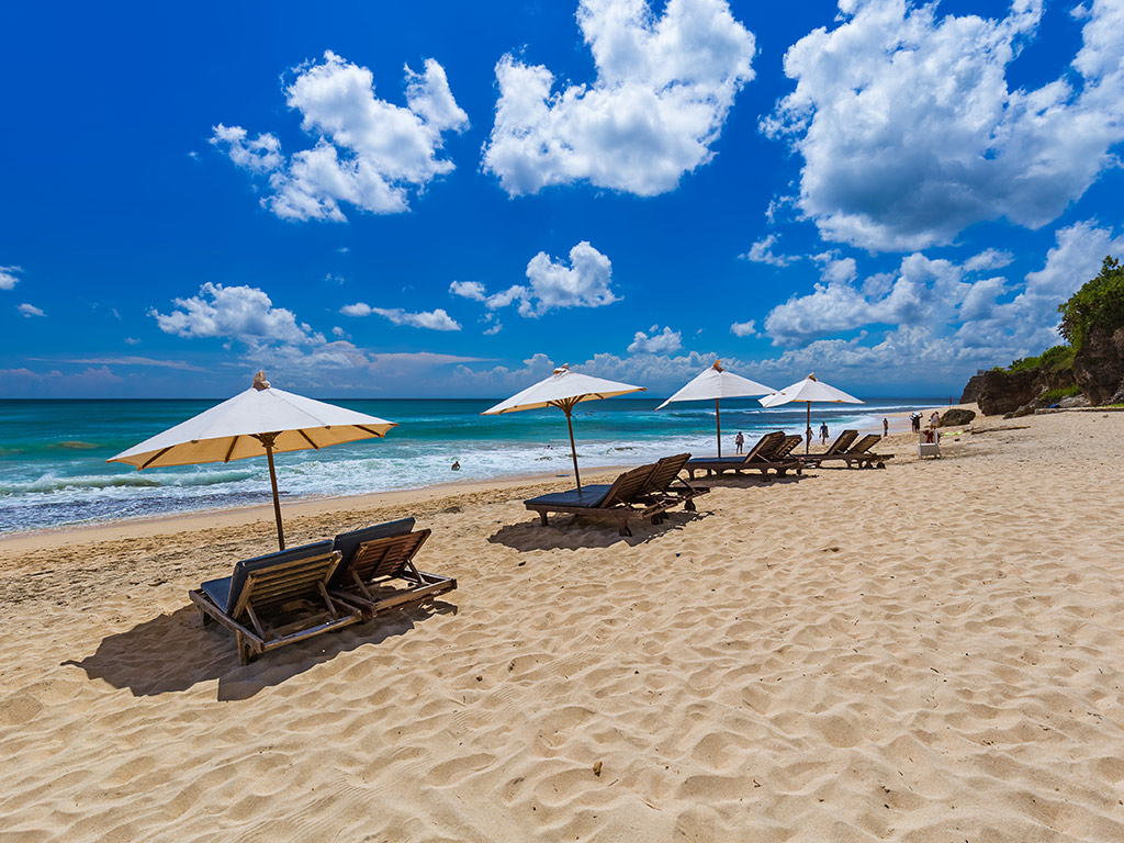 A full day to spend as you like - Only Transport