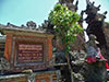 Home of Mask and Puppet - Half Day Tour