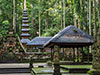 Surface of Ubud - Half Day Tour