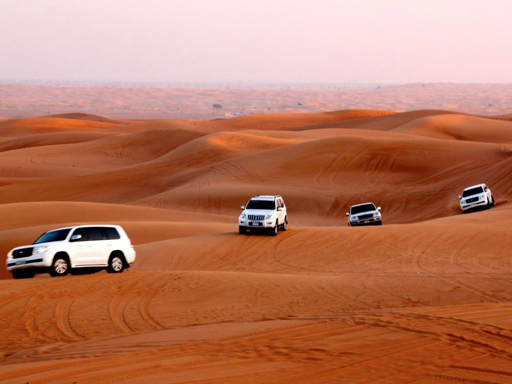 Quad Bike Safari image 5