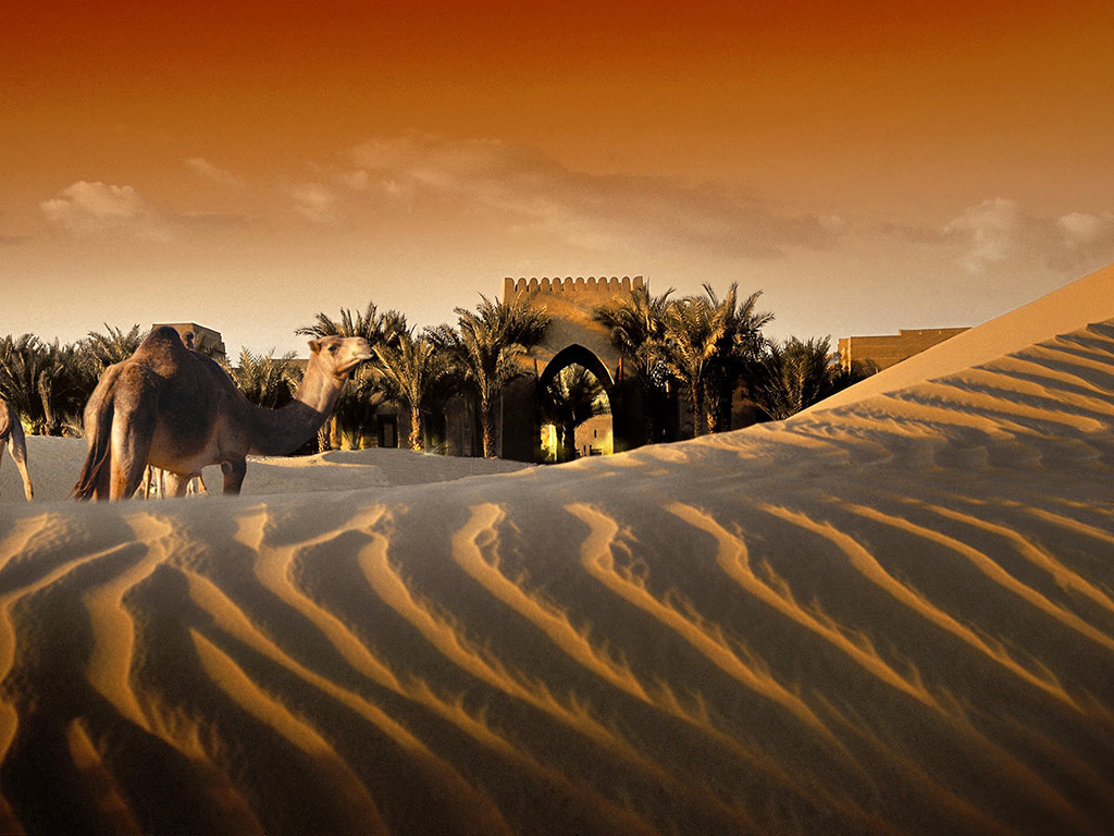Dinner at Al Hadheera Restaurant Bab Al Shams Resort - Dubai