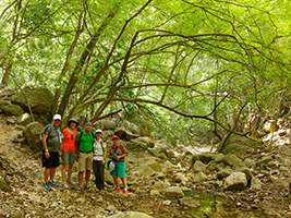 Sierra Madre Occidental Hiking Tour in Puerto Vallarta