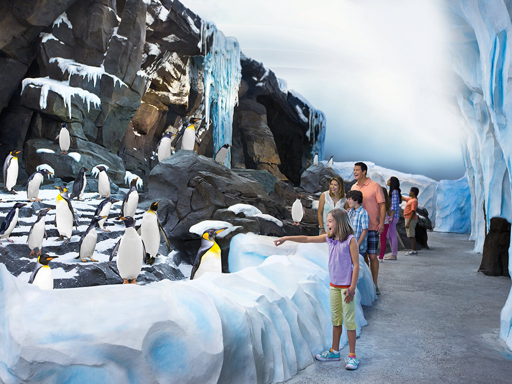 SeaWorld(R) Parks - Orlando - Florida